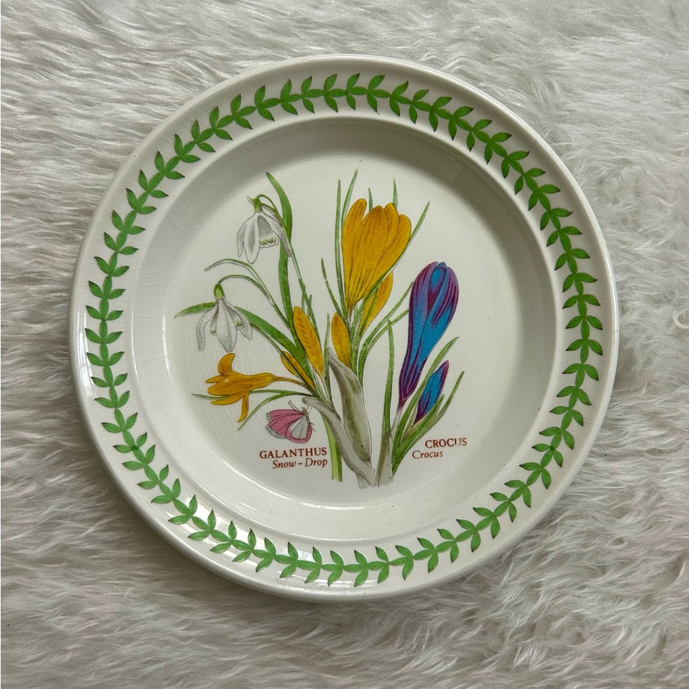 Portmeirion Botanic Garden Crocus/Snow Drop Bread Plate
